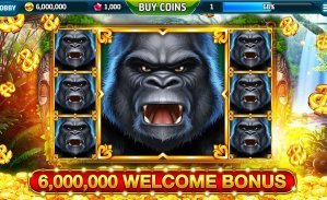 3335 bet 3335 bet